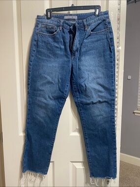 Joe's Jeans Women's Cropped Ankle Denim Jeans in Medium Blue